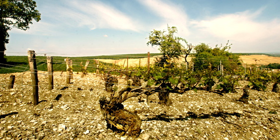 guesthousechablis