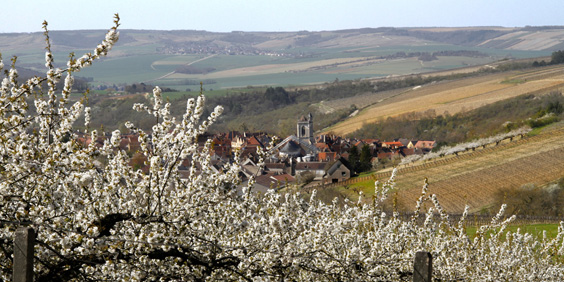 gueshousechablis