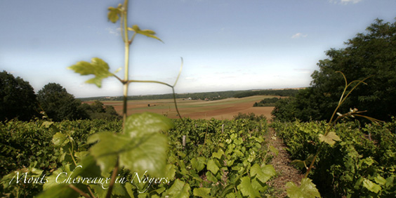 guesthousechablis