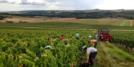guesthousechablis